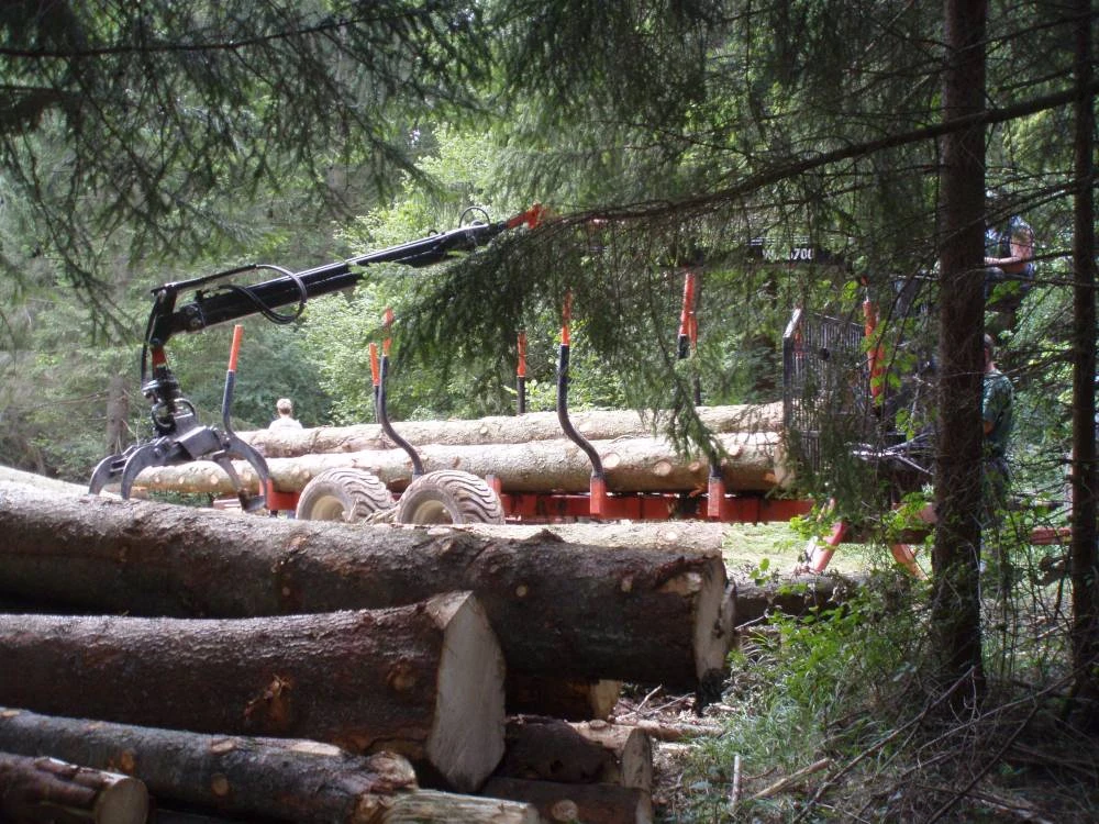 Logging Trailer FT-12 4×4 — Log Trailer — Gallery 24
