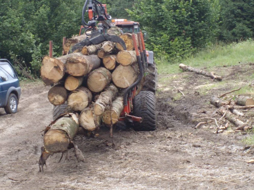 Logging Trailer FT-12 4×4 — Log Trailer — Gallery 30
