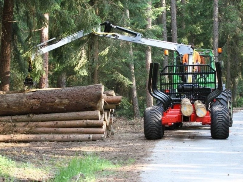 Forest Trailer — Forest Trailers — Gallery 5