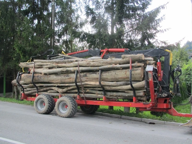 Forest Trailer — Forest Trailers — Gallery 4